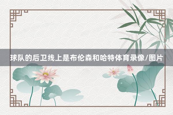 球队的后卫线上是布伦森和哈特体育录像/图片
