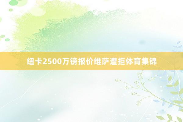 纽卡2500万镑报价维萨遭拒体育集锦