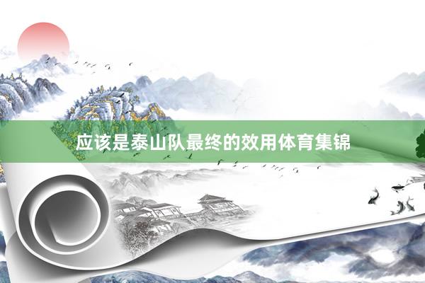 应该是泰山队最终的效用体育集锦