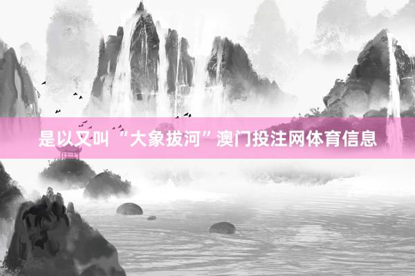 是以又叫 “大象拔河”澳门投注网体育信息