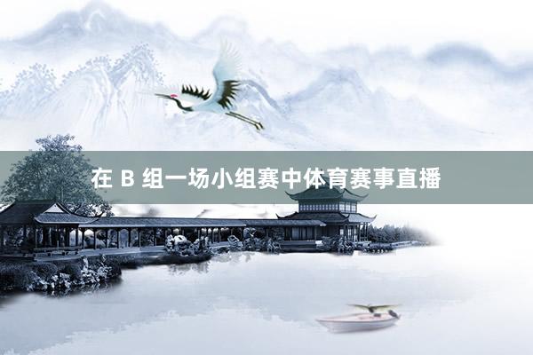 在 B 组一场小组赛中体育赛事直播