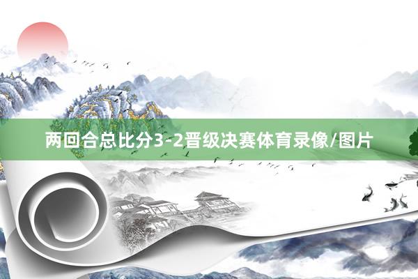 两回合总比分3-2晋级决赛体育录像/图片