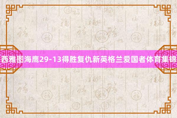 西雅图海鹰29-13得胜复仇新英格兰爱国者体育集锦