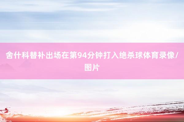 舍什科替补出场在第94分钟打入绝杀球体育录像/图片