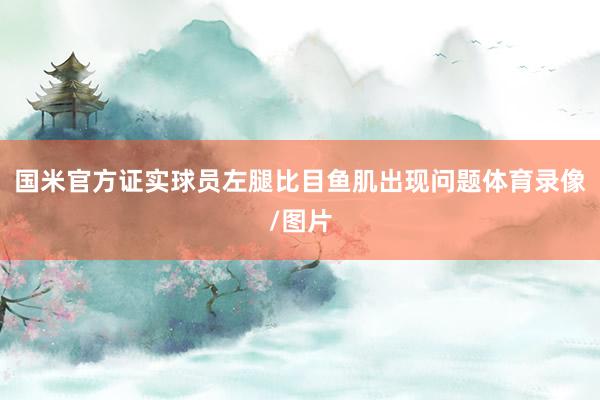 国米官方证实球员左腿比目鱼肌出现问题体育录像/图片
