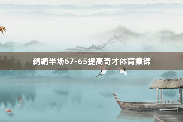 鹈鹕半场67-65提高奇才体育集锦