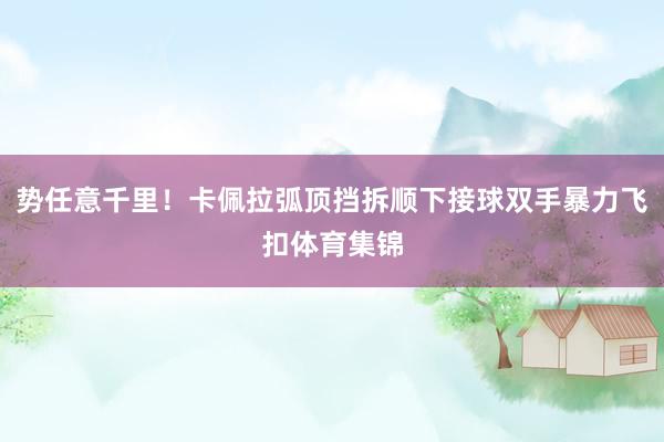 势任意千里！卡佩拉弧顶挡拆顺下接球双手暴力飞扣体育集锦
