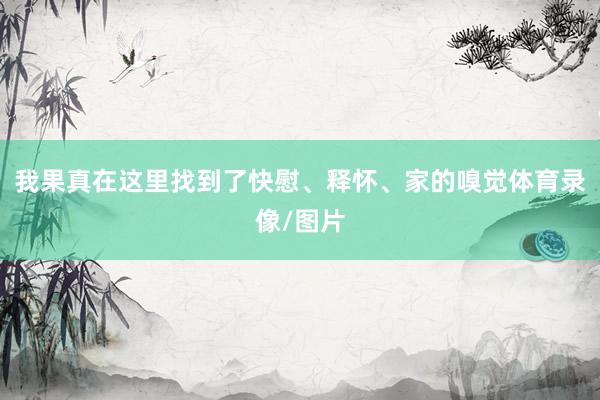 我果真在这里找到了快慰、释怀、家的嗅觉体育录像/图片