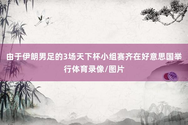 由于伊朗男足的3场天下杯小组赛齐在好意思国举行体育录像/图片