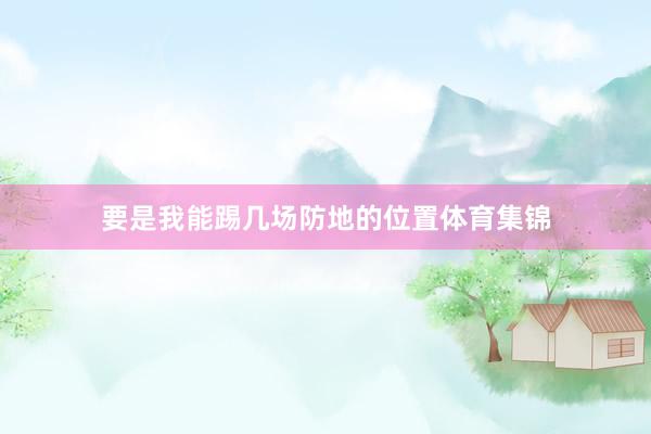 要是我能踢几场防地的位置体育集锦