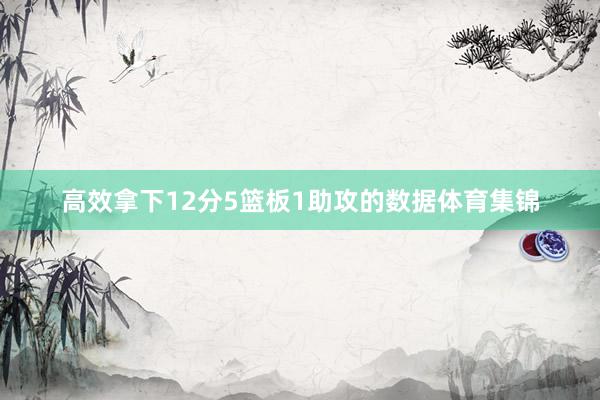 高效拿下12分5篮板1助攻的数据体育集锦