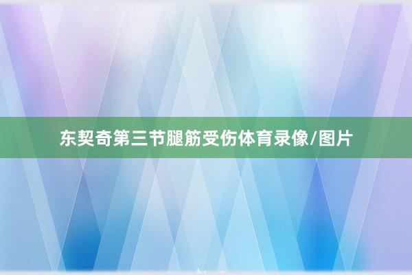 东契奇第三节腿筋受伤体育录像/图片