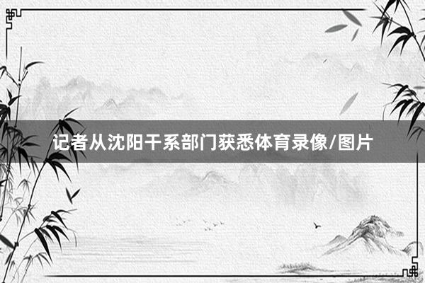 记者从沈阳干系部门获悉体育录像/图片
